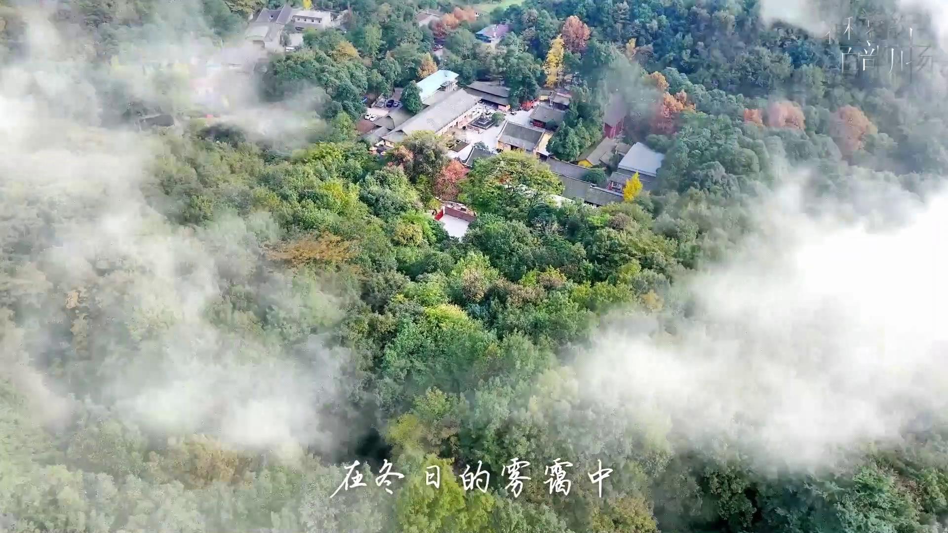 时代光影 百部川扬｜《这一站绵竹—-—三溪寺》